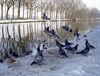 Neerpelt - Vandaag gezien...