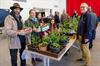 Beringen - Plantenruildag bij Tuinhier Koersel
