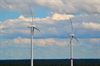 Lommel - Vogelbescherming Vlaanderen wil windturbines weg