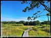 Beringen - Rode wandeling Koersels Kapelleke