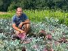 Beringen - Van Goede Aard, agro-ecologisch landbouwbedrijf