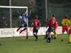 Peer - Het voetbalweekend voor de Peerse ploegen
