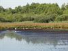 Oudsbergen - Broekven droogt uit