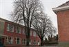 Neerpelt - Weer een hoge boom veroordeeld