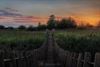 Pelt - Zonsondergang boven het Hageven