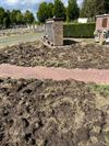 Houthalen-Helchteren - Everzwijnen houden lelijk huis op kerkhof