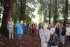 Houthalen-Helchteren - Wandelen in domein Hoeverheide