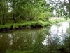 Peer - Project ‘Onze Dommel’start met wandeling
