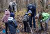 Genk - Aanplanting 1.750 bomen op  de Melberg