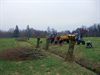 Lommel - Knotwilgen in Vloeiweiden geknot