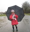 Neerpelt - Vandaag gezien...