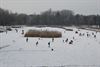 Hamont-Achel - IJspret aan De Bever