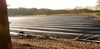 Lommel - In de hoop op een grote oogst...