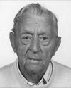 Hamont-Achel - Michiel Driesen overleden