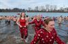 Beringen - Nieuwjaarsduik Paalse Plas (2)