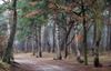 Lommel - De Sahara dit weekend
