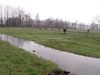 Lommel - Vloeiweiden onder water