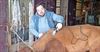 Pelt - Elke maandag is pastoor boer