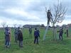 Peer - Een cursus wintersnoei - nooit weg