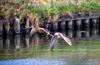 Lommel - Natuur op 1 maart