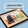 Pelt - 'Visit Haspengouw' bundelt alle bloesemtips