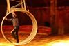Lommel - Circus: prachtige voorstelling, geen volk