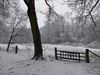 Pelt - De laatste sneeuw?
