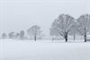 Hamont-Achel - Sneeuw in de Ruiterstraat