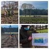 Lommel - 1,76 ha nieuw bos aangeplant