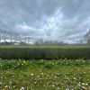 Beringen - Het weer maakt kapriolen