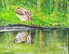 Beringen - Expo 'Vogels in Acryl'