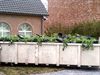 Lommel - Cannabisplantage in Lutlommel