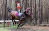 Pelt - Gisteren gezien op de LRV Eventing...