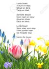 Beringen - Lente bloeit