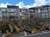 Pelt - Werken op het Marktplein begonnen