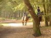 Lommel - Vandaag gezien...