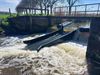 Pelt - Lekker doorvaren tot aan de Venbergse Molen