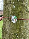 Pelt - Burgerwetenschap in Bosland