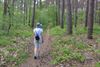 Beringen - Lentetocht wandelclub Paul Gerard
