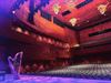 Peer - Een harp in een concertzaal