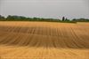 Lommel - Met de groeten uit Huldenberg