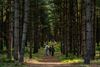 Lommel - Worden we de wandelgemeente van het jaar?