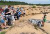 Lommel - Veel volk voor opgravingen in Kristalpark