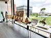 Beringen - Week van de bij in de Beringse bib