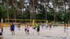 Lommel - Netballen in het zand