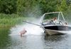 Lommel - Blootvoets waterskiën: voor de waaghalzen