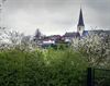 Lommel - Met de groeten uit... Borgloon