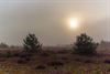 Lommel - 'Op de heide waait de wind...