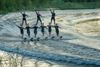 Lommel - Warm aanbevolen: waterskishow