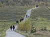 Beringen - Wandeltocht langs Belgische mijnen